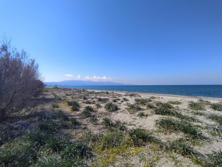 seafront land for sale in maleme chania cl097
