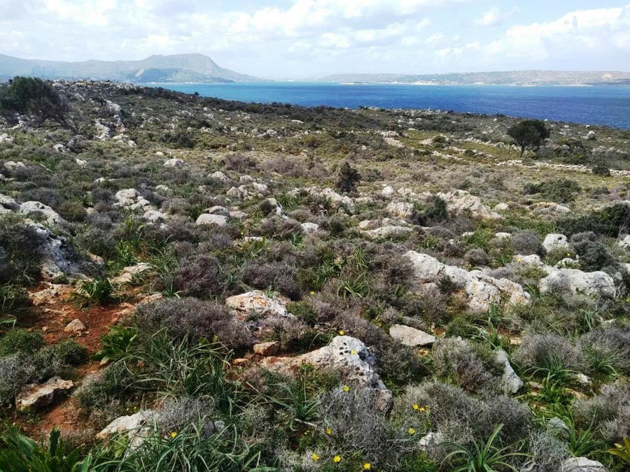 Listing photograph 3 of 9 of the land in Kokkino Chorio, published by Euroland Property Group.