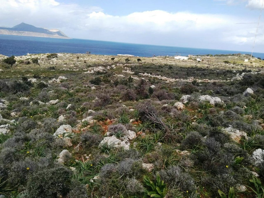 Listing photograph 7 of 9 of the land in Kokkino Chorio, published by Euroland Property Group.
