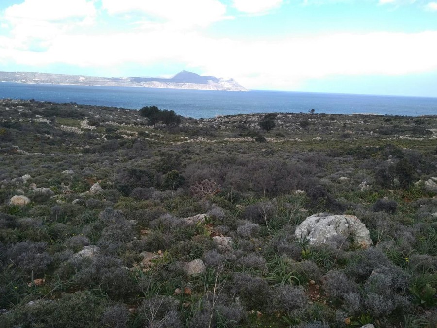 Listing photograph 8 of 9 of the land in Kokkino Chorio, published by Euroland Property Group.