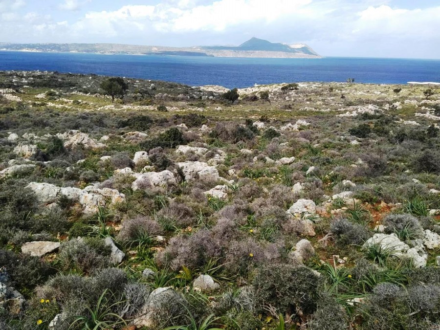 land for sale in kokkino chorio kl447