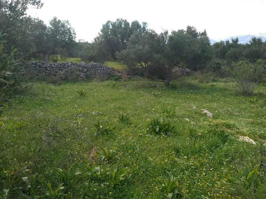 Listing photograph 4 of 12 of the land in Kokkino Chorio, published by Euroland Property Group.