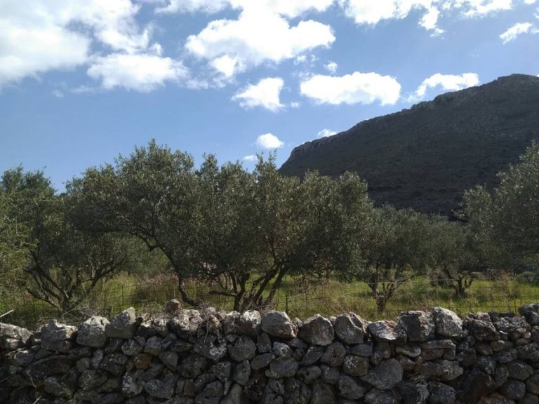land for sale in kokkino chorio kl448