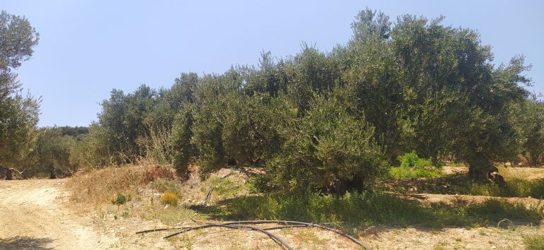 plot for sale in kolymbari chania