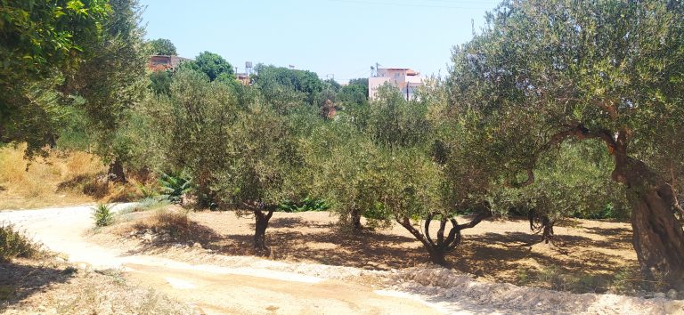plot for sale in kolymbari chania