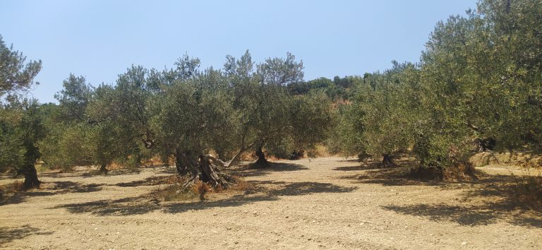plot for sale in kolymbari chania
