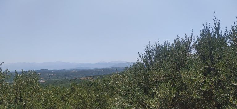 plot for sale in kolymbari chania