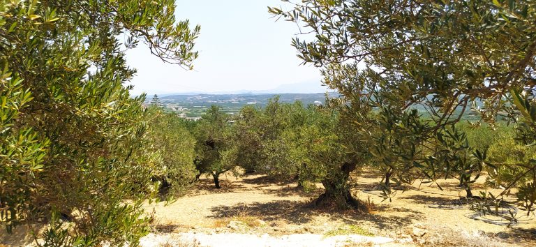 plot for sale in kolymbari chania