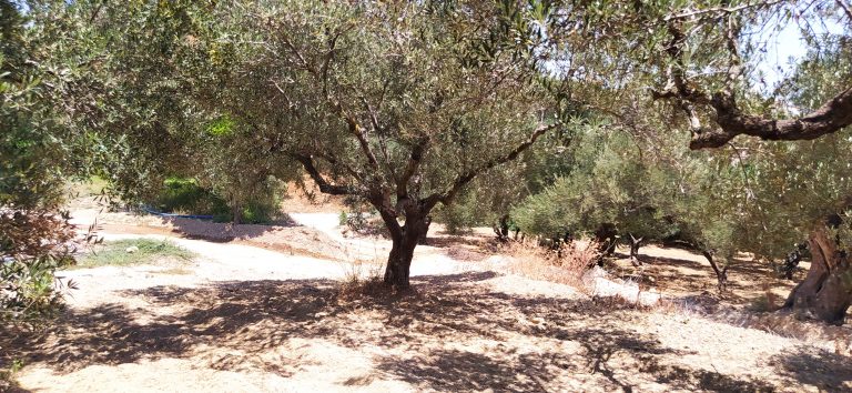 plot for sale in kolymbari chania