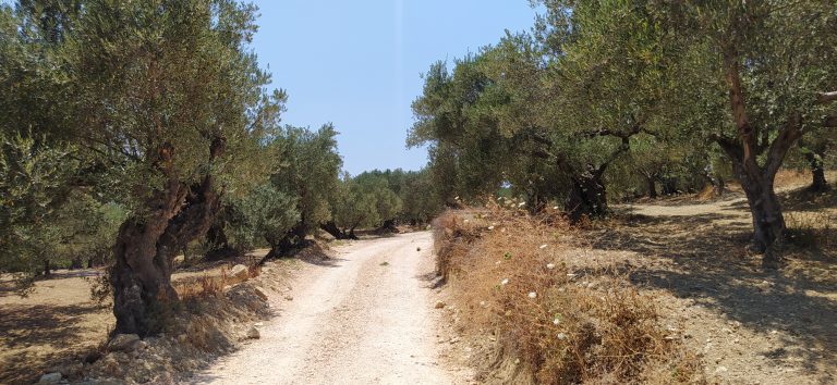 plot for sale in kolymbari chania