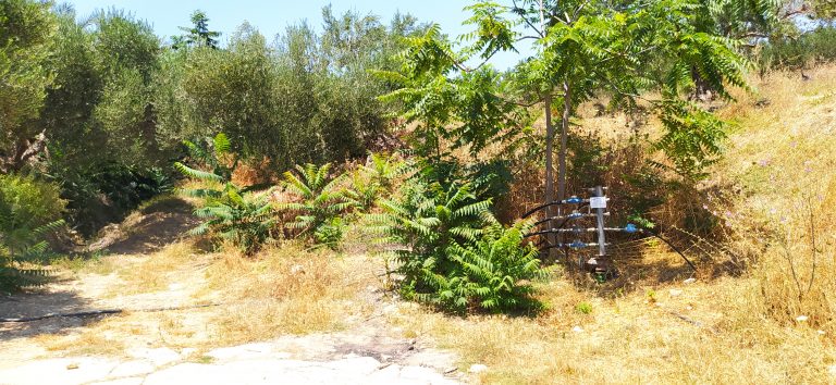 plot for sale in kolymbari chania