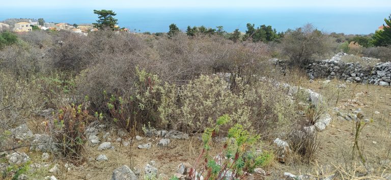 plot for sale in kefalas apokoronas chania