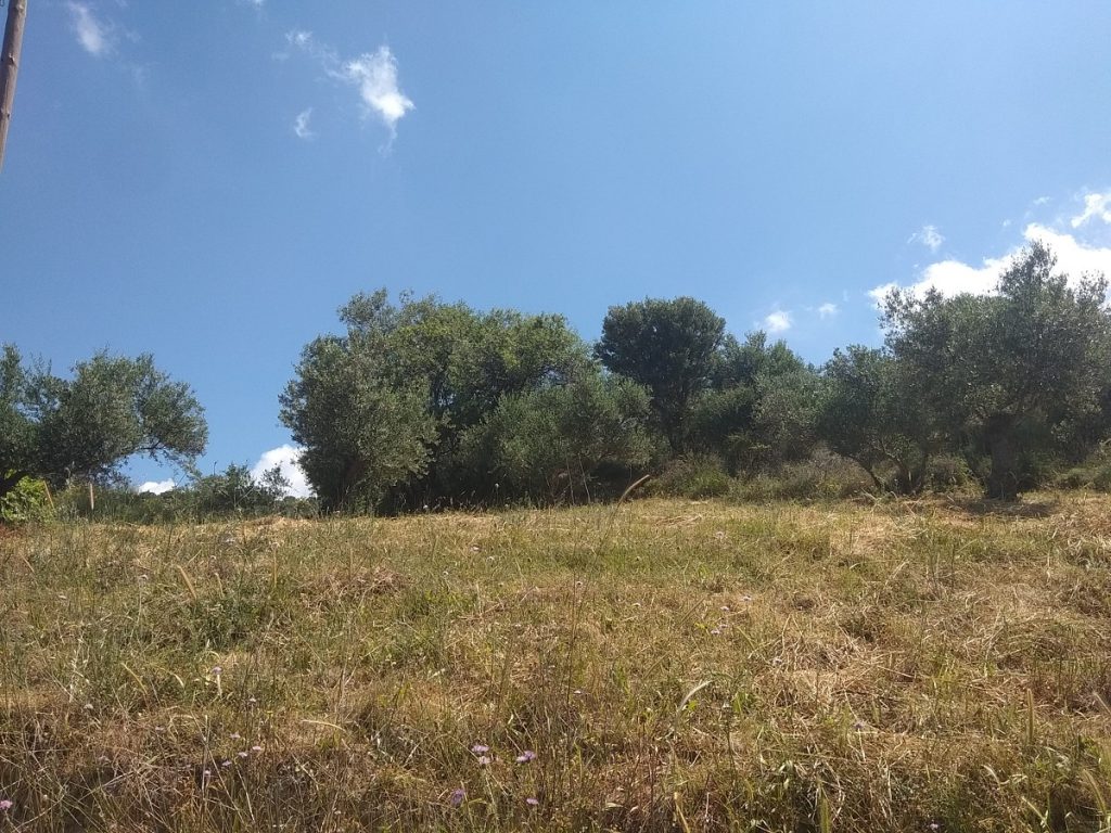 Land for sale in Crete Euroland Crete Homes