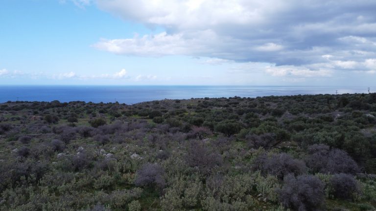 Plot for sale in Apokoronas with panoramic sea views