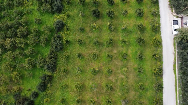 Bird’s-eye aerial view of land for sale in Modi Crete featuring orange orchards and scenic countryside