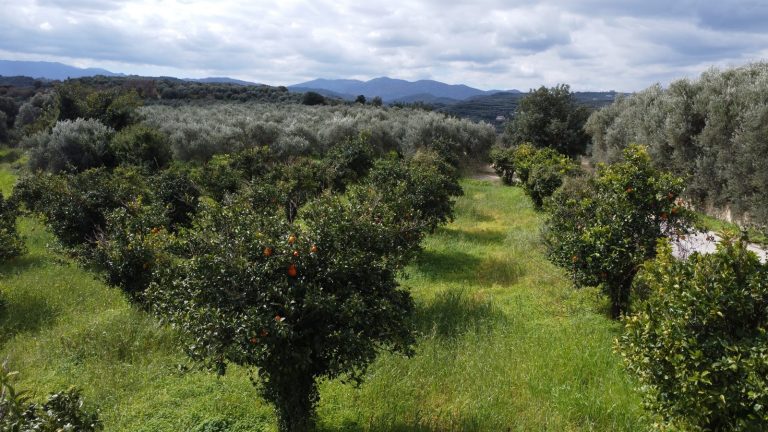 Low-altitude aerial view of land for sale in rural Chania surrounded by farmland and natural scenery.