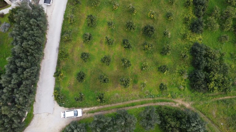 Bird’s-eye view of plot for sale in Modi village Crete surrounded by orange groves and countryside landscape