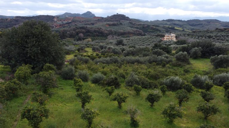 Aerial perspective of countryside plot in Modi Crete featuring orange trees and open mountain scenery.