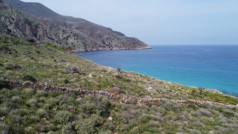 Overlook View of Land Plot with Turquoise Coastline and Hills