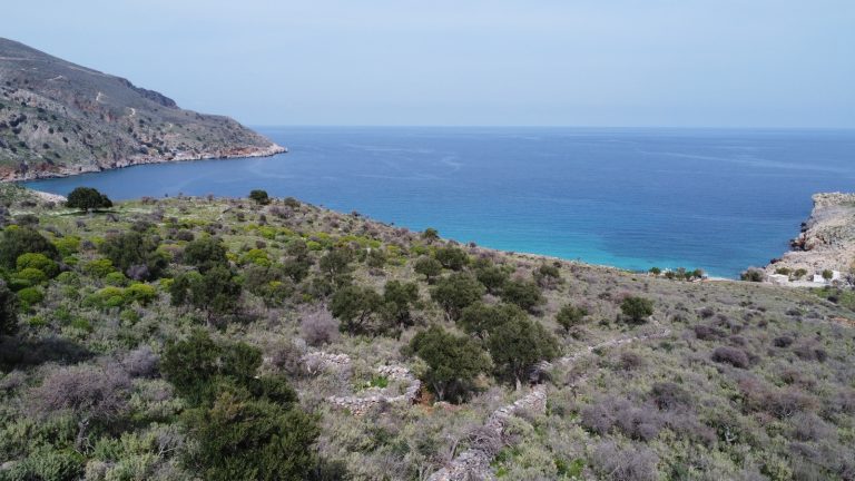 Stunning Overhead View of Untouched Land with Sea Horizons