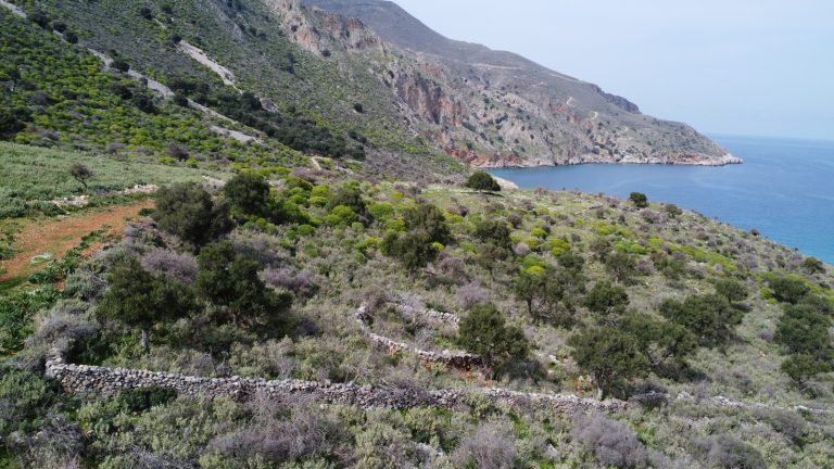 Majestic Drone Perspective of Land Facing the Mediterranean Coast