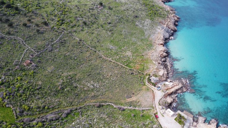 Panoramic Top-Down View of Coastal Acreage in Natural Paradise