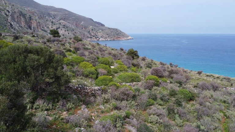 Wide-Frame Aerial Shot of Coastal Property with Crystal Clear Waters