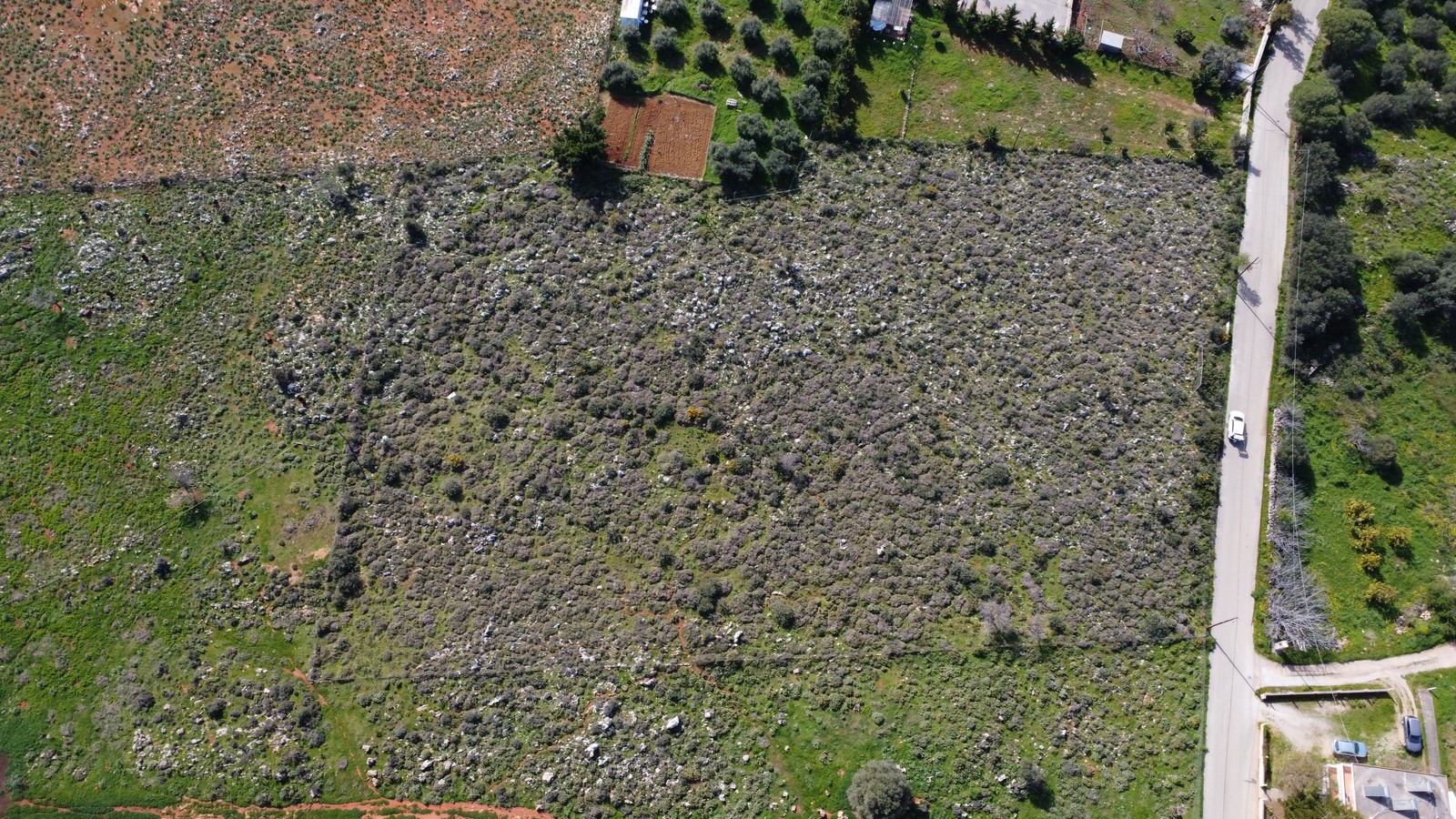 House in Kathiana - Image 3